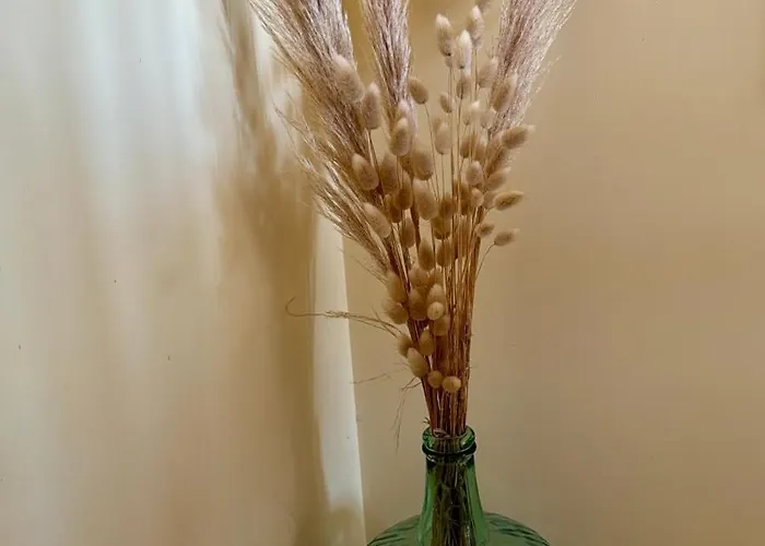 Maison 아파트 피니스테레