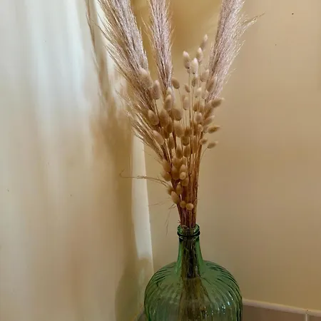 Maison Appartement Finisterre